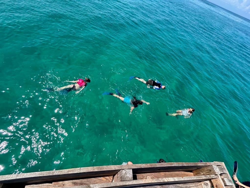 Kiwengwa Bungalow Boutique Resort Dış mekan fotoğraf