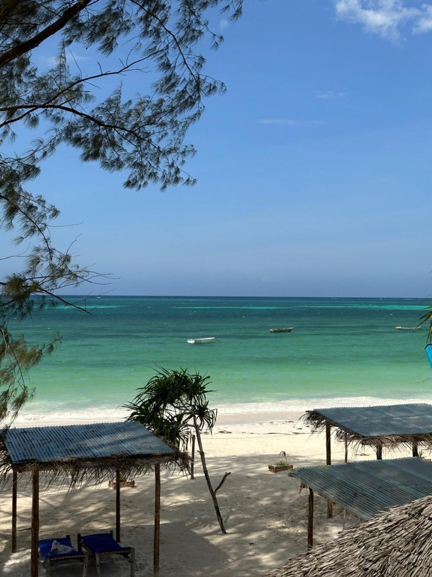 Kiwengwa Bungalow Boutique Resort Dış mekan fotoğraf